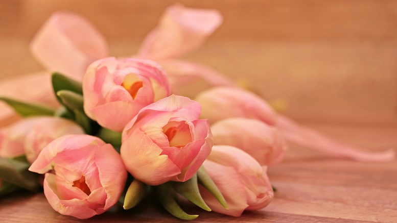 Pink roses as a gift for a Mum on Mother's Day