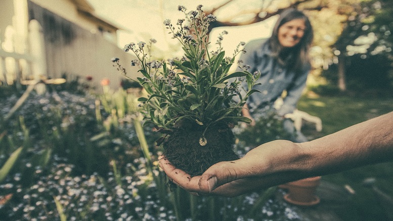 Imagine showing a couple in their garden with flowers